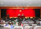 护理专业委员会成立大会暨孕产护理保健新进展学习班在广州召开